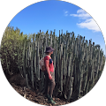 user_profile