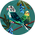 user_profile