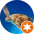 user_profile