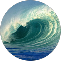 user_profile